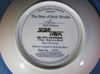 The Next Generation THE BEST OF BOTH WORLDS Hamilton Collection Plate
