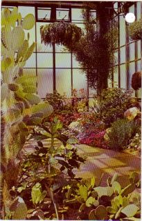 Postcard Pennsylvania Longwood Gardens