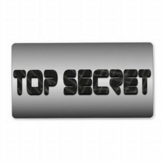 Top Secret in Metallic Silver Military Grunge Personalized Shipping