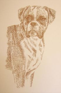 BOXER DOG PRINT Signed Stephen Kline Lithograph #241 ART DRAWN FROM