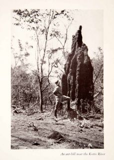 1927 Print Kotto River Africa Giant Ant Hill Mound Wildlife Entomology