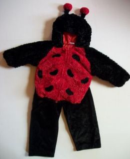 Ladybug Halloween Costume Jacket Pants Toddler 24 Months 2