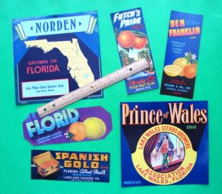 Old Florida Citrus Crate Labels Oranges Lake Wales