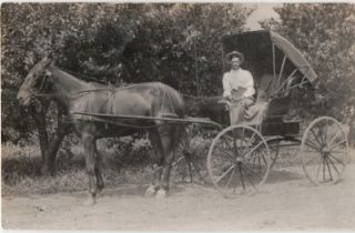 Vintage Real Photo Postcard Horse Buggy Man Lap Robe