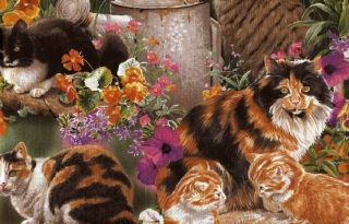 These sassy cats are peeking out of a pretty floral field background.
