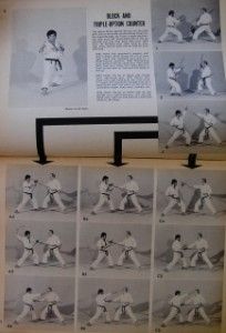 ARTICLE Tae Kwon Dos Change Of Pace Form.