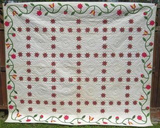 1800s Museum Quality Star of Lemoyne Hand Made Quilt w Applique Vine