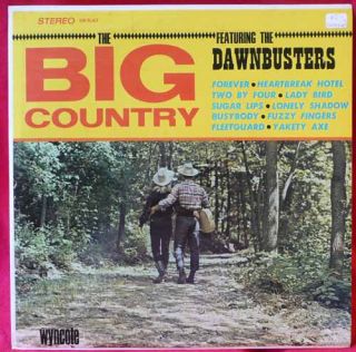 Big Country Dawnbusters LP Record