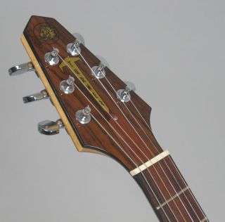 Turner Model 1 Guitar with Piezo Pickup Case Lindsey Buckingham