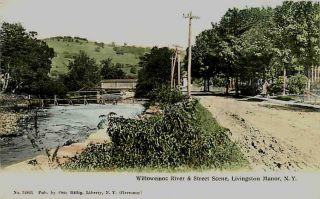 Livingston Manor New York 1908 Covered Bridge Willowemoc River Vintage