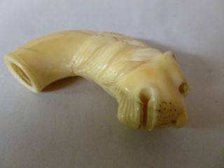 Faux ivory? or Bone Cane Top   Carved Lion or Tiger Head 2 1/2 Inches