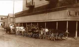 of Wagons and Cattle in The Old West Town of Longview Texas TX