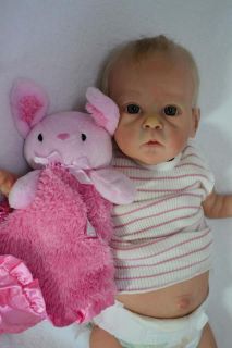 Brand New Saoirse Doll Kit Bonnie Brown Sold Out 872 1000