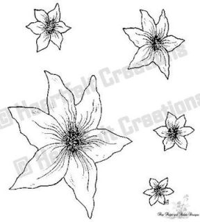 Malabar Clematis Precut Stamp Set