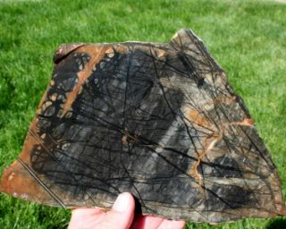 Utah Picasso Marble Slab 560 grams Specimens Rock Jasper Agate Mineral