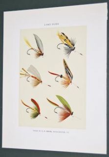 Marbury 1892 Fishing Flies Chromolithograph Lake Flies