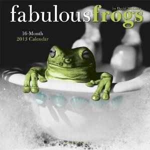 product details title fabulous frogs calendar 2013 author mcenery