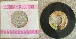 Vintage The Nickel Song by Melanie 45 RPM Buddah Record