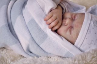 New Reborn Baby Easton 18 Doll Kit by Michelle Fagan 7216