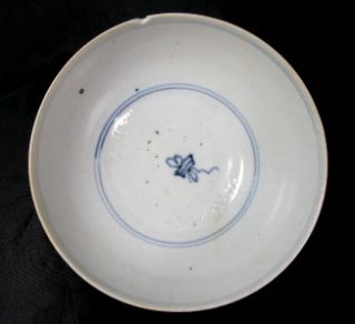 1600 Chinese Ming Dynasty Porcelain Phoenix Bowl from Shipwreck