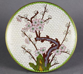 Oriental Vintage Cloisonne Dish with Flowering Prunus 20th C
