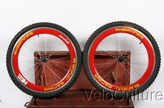 Hed Mountain Bike Wheels RARE and Vintage Yeti