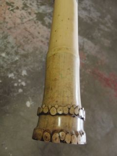 05 Root End Ji Nashi Shakuhachi Madake Bamboo Flute Key of B
