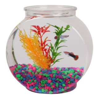 Fish Aquariums Desktop Top Fin 1/2 Gallon Plastic Fish Bowl