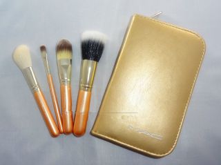 PRO BRUSH SET 10PCS brushes limited edition2 M/A/C 10 color palette