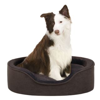 Soft Touch Faux Suede Oval Cuddler Dog Bed   Brown