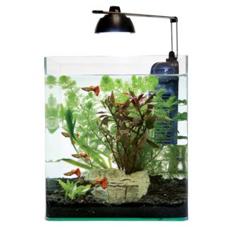 Small Fish Aquariums and Related Fish Tank Accessories