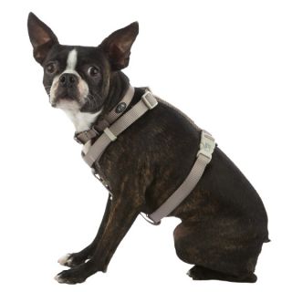 Designer Nylon Dog Harnesses