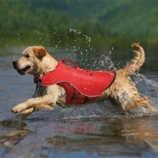 Kurgo Dog Life Vest   Backpacks & Lifejackets   Accessories & Outdoor Gear