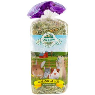 Hay and Other Related Small Pet Accessories