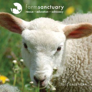Farm Sanctuary Rescued Animals 2010 Wall Calendar Farm