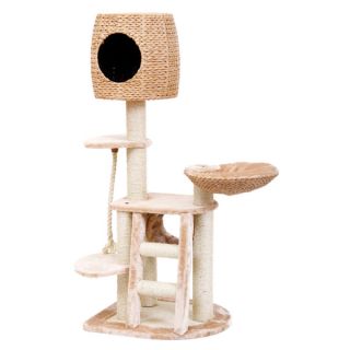 Cat Scratchers and Scratchable Furniture