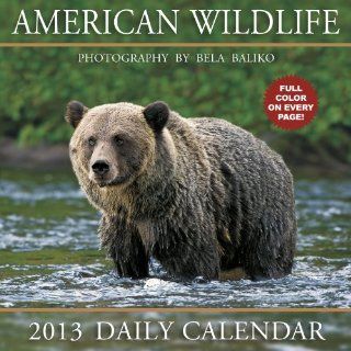 American Wildlife 2013 Calendar Bela Baliko Photography