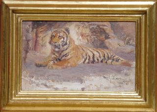 Willy Lorenz Tiger Safari Indien India Tierpark Zoo Tiermaler Wilhelm