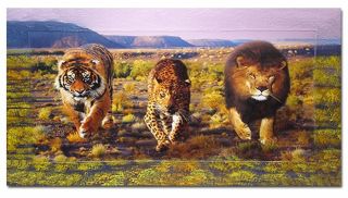 Tiger Gepard Löwe Wandbild