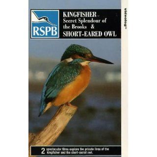 The Kingfisher [VHS] [UK Import] Rex Harrison, Wendy Hiller, Cyril