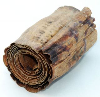 Schutzrolle Original Ethiopian Magic Scroll 173 cm Afrika