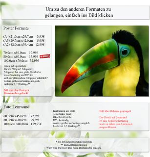 Poster, Tiere 22, Tukan Vogel Papagei Tier Natur Tropen Bunt A4