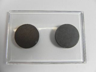 SYLT Acryl Magnet Souvenir,Kühlschrank,8,5 cm,NEU