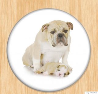 Bulldoggen Welpen verschiedene Motive AUSWAHL Button, Magnet, Spiegel