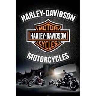 1art1 48797 Harley Davidson   Logo, Adler Poster 91 x 61 cm 