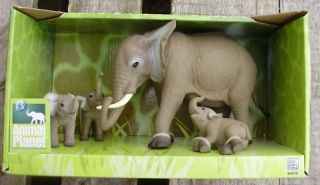 Animal Planet Tiere Tierfamilie Elefant mit Baby