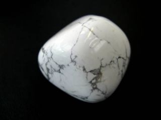 Trommelsteine Howlith 60 g Edelsteine Mineralien weiß grau 276