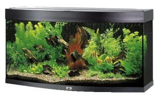 Juwel Aquarium Vision 260 l mit Filter, Heizer, Licht