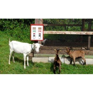 2er Tierfutterautomat Automat für Fischfutter Wildfutter usw. inkl