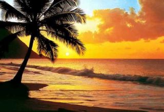 Fototapete PACIFIC SUNSET 366x254 Sonnenuntergang See Palmen Pazifik